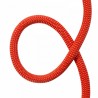 Red A19