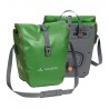 Parrot Green
