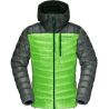 Jungle Green