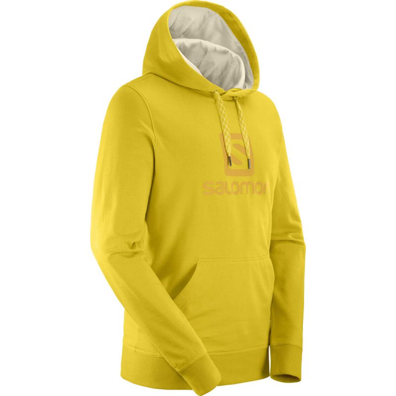 salomon logo hoodie