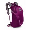 Egglant Purple