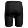 Odlo Tights Short Element - Cycling Shorts - Men's