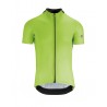 Visibility Green