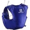 Clematis Blue / Alloy