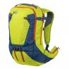 Acid Green