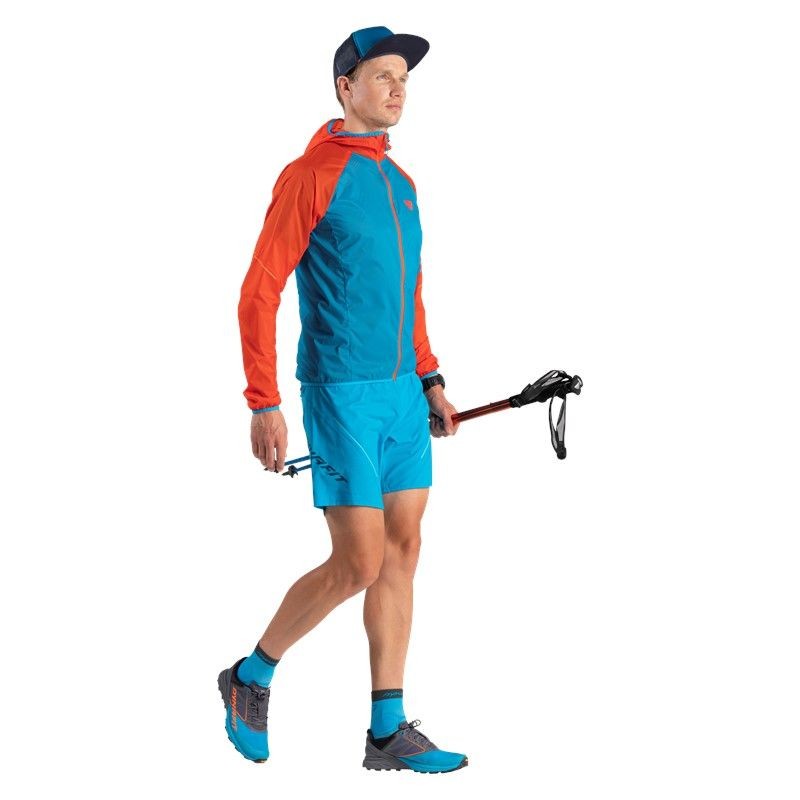 Dynafit Alpine Pro 2/1 Shorts - Running shorts - Men's