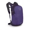 Dream Purple