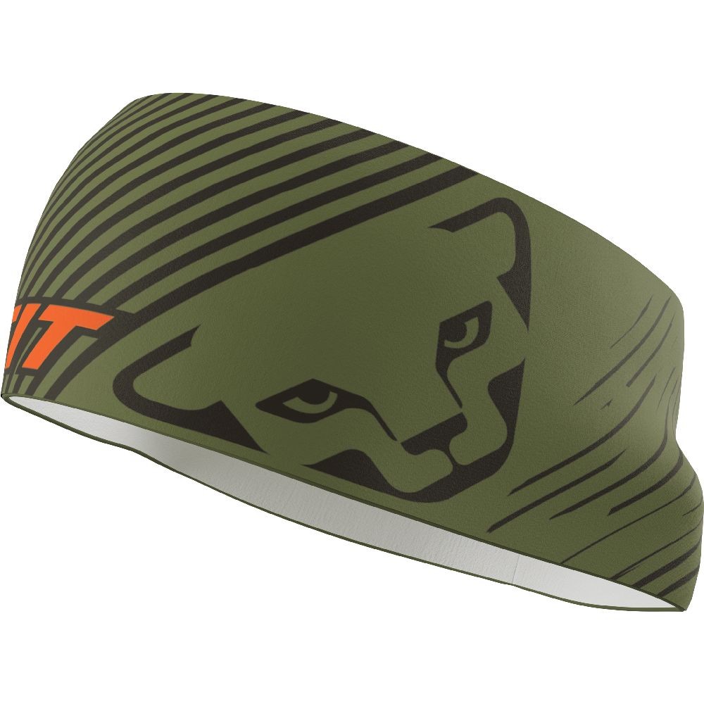 Dynafit Graphic Performance Headband