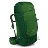 Jungle Green
