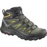 Castor Gray / Black / Green Sulphur
