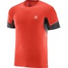 Fiery Red / Black