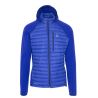 Bright Clemat / Clemat Blue