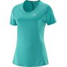Teal Blue