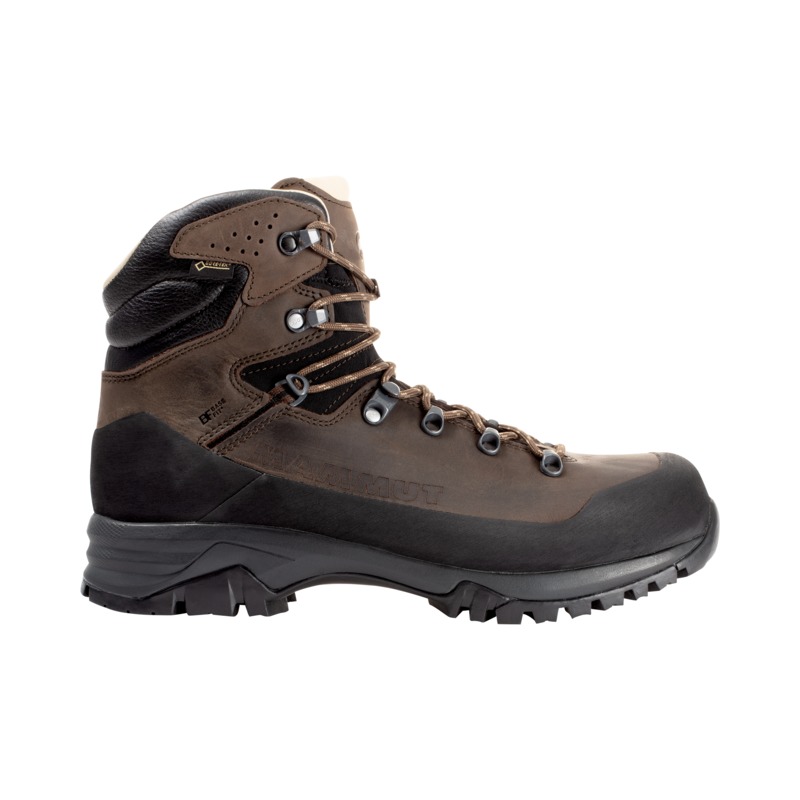 Mammut Trovat Guide II High GTX® - Walking shoes - Men's